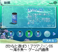 さかなと遊ぼう！アクアゾーンDS～海水魚～