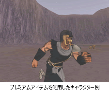 プレミアムアイテムを使用したキャラクター例